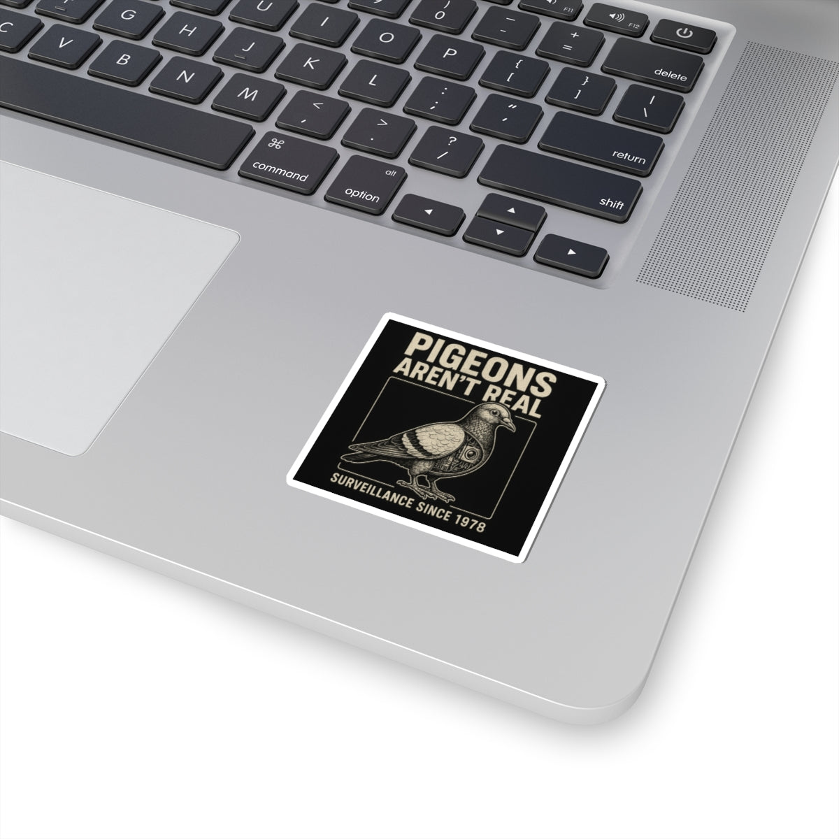 Pigeon Surveillance Sticker
